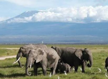 Honeymoon Offer at Amboseli — A 5-Day Romantic Safari with Wylda Safaris