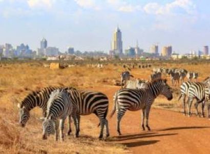 Family Kenya Discovery: An 8-Day Multi-Park Adventure with Wylda Safaris