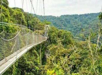 Volcanoes & Akagera: A 6-Day Rwanda Dual-Park Safari with Wylda Safaris