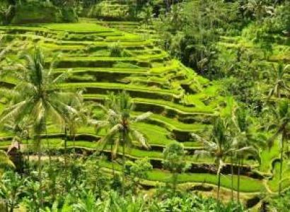 Bali Tropical Romance: A 7-Day Island Escape with Wylda