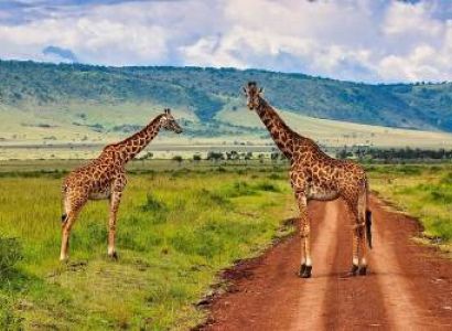 Masai Mara & Nairobi & Nakuru 6 Days Luxury Tour Package