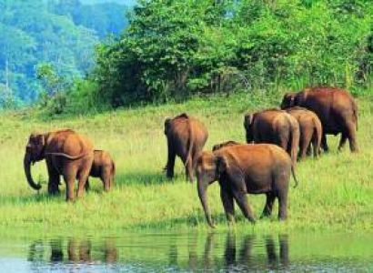 Best Of South India - Architecture - Wildlife Tour 11 Nights - 12 Days
