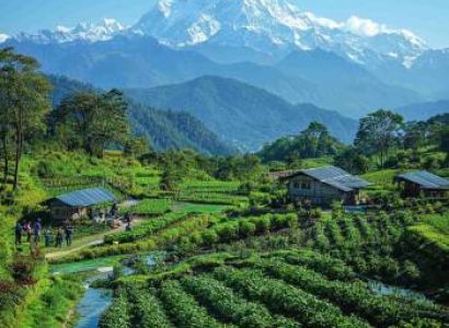 Sikkim Darjeeling 6N - 7D Tour