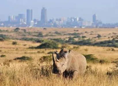 4 Days 3 Nights Amboseli - Lake Manyara - Ngorongoro Crater Tanzania Safari Tour