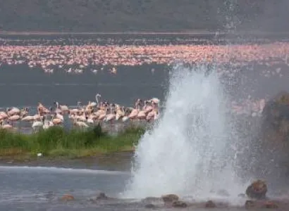 8D 7N Samburu-Lake Baringo-Lake Bogoria-Lake Nakuru Safari-Lake Naivasha And Maasai Mara Tour