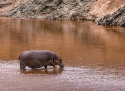 8 Days 7 Nights Masai Mara-Lake Nakuru-Samburu-Aberdare-Amboseli Safaris Tour