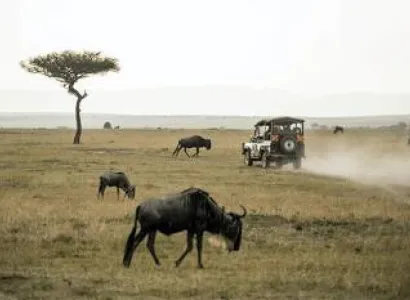 8D 7N Masai Mara Game Reserve-Lake Naivasha-Amboseli National Park And Tsavo West National Park Tour