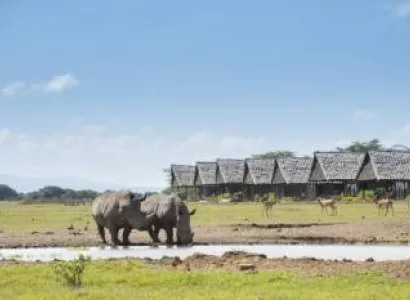 7 Days 6 Nights Sweetwaters - Nakuru - Masai Mara Safari Tour