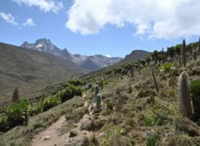 7 Days 6 Nights Mt Kenya - Samburu - Nakuru - Masai Mara - Nairobi Tour