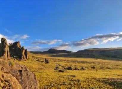 4 Days 3 Nights Aberdare - Samburu Safari Tour