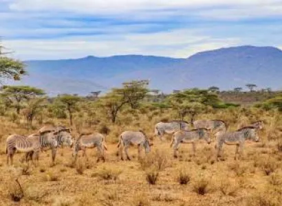 3 Days 2 Nights Samburu Game Reserve Road Safari Tour
