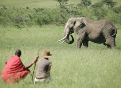 4 Days - 3 Nights VIP Maasai Mara Private Conservancy Safari Tour
