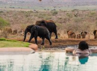 5 Days - 4 Nights Tsavo VVIP Safari At Hildana Lodge Tour