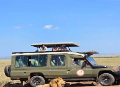 7 Days 6 Nights Maasai Mara - Lake Nakuru - Lake Naivasha - Amboseli Safari Package