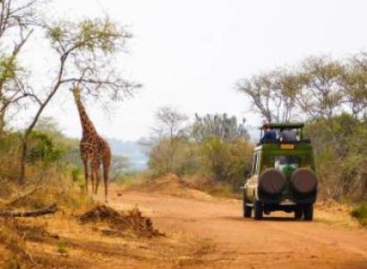 5-Day Rwanda Gorillas - Chimps - Big Five Safari Tour