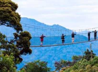 Nyungwe Forest Canopy Walk - Day Hike Tour