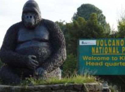 Day Gorilla Trekking Rwanda - Volcanoes National Park Gorilla Tour From Kigali