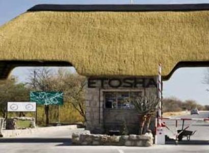 5 Days Taste Of Etosha Safari - Namibia Wildlife Adventure Tour