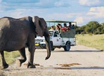 3 Days Etosha National Park Safari Tour