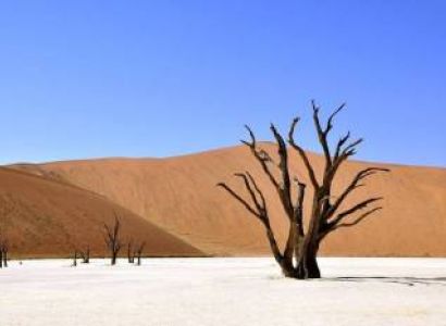 7 Days Namibia Highlights Safari - Best-Selling Package