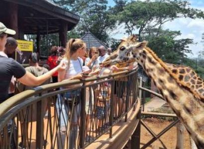 Nairobi National Park - Elephant Orphanage - Giraffe Centre Tour
