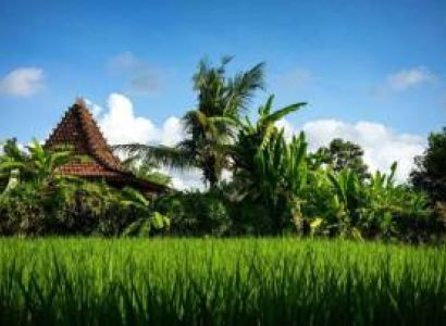 6 Days Trip To Bali