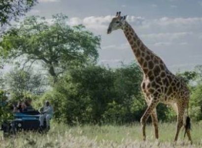 Arusha National Park 1 Day Trip