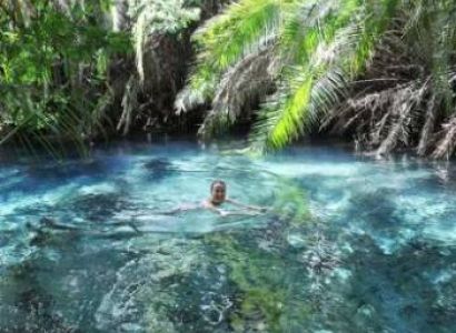 Kikuletwa Hotsprings 1 Day Trip