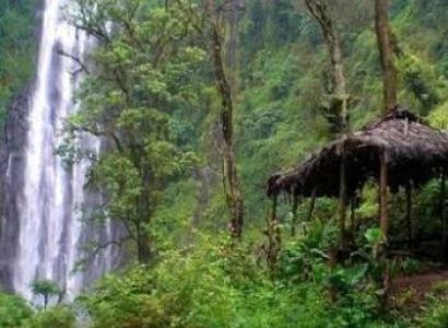 Marangu Village 1 Day Trip