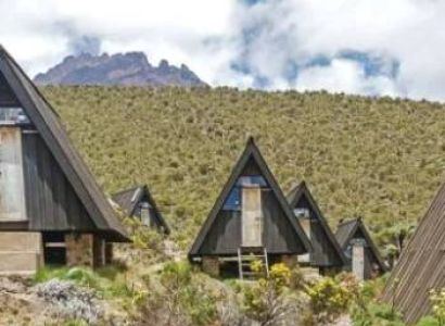 Trekking Marangu - Mandara Huts 1 Day Trip