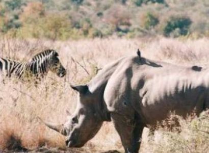 2 Days Serengeti National Park Tour