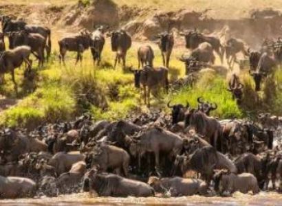 2 Days Lake Manyara National Park And Ngorongoro Crater Tour