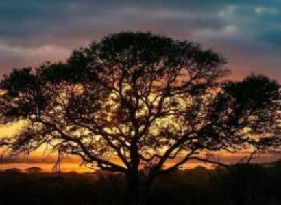 2 Days Tarangire National Park And Ngorongoro Crater Tour
