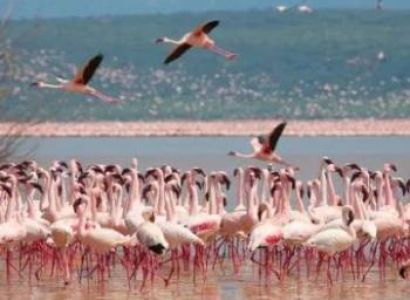 4 Days Lake Manyara - Serengeti - Ngorongoro Crater Tour