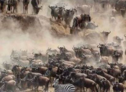 5 Days The Great Migration Adventure Tour