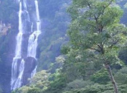 3 Days Mikumi And Udzungwa National Park Tour