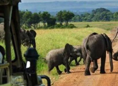 4 Days Mikumi And Nyerere National Park Tour