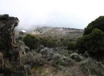 8 Days Lemosho Route Tour