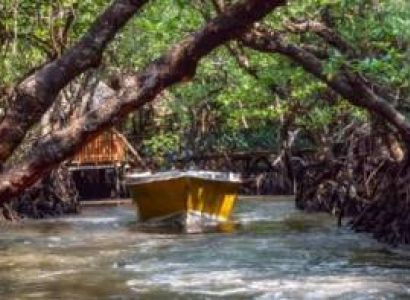 Offbeat Baratang - Rangat Deep-Dive Expedition Tour