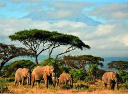 5-Day Unique Luxurious Kenyan Coast Tour