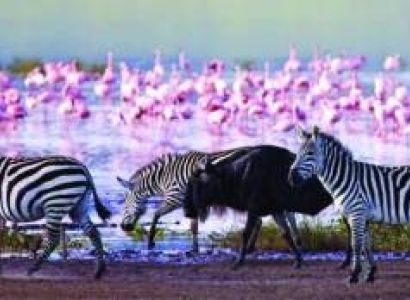 6-Day Mid Safari to Masai Mara, Great Lakes and Amboseli