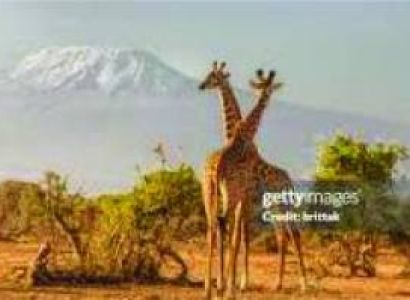 7-Day Big Five Adventure A Unique Kenya Bush Expedition Tour