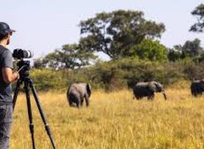 13 Days Photography Safari Tour