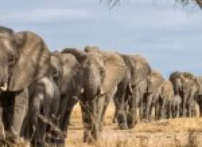 Adventure And Sun Seeker 15 Days - 14 Nights Tour