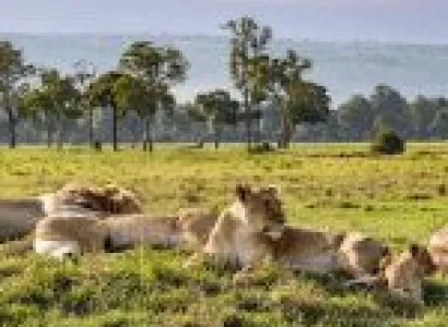 Northern Discovery 4 Days - 3 Nights Tour