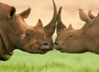 Northern Explorer 8 Days - 7 Nights Tour