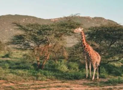 5 Days Samburu - Lake Nakuru And Lake Naivasha Tour