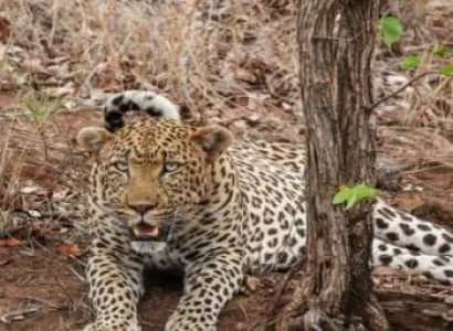 10 Days Magical Kenya Experience Tour