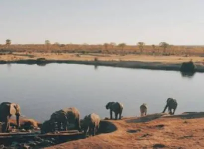 4 Day Victoria Falls - Hwange National Park Safari Tour