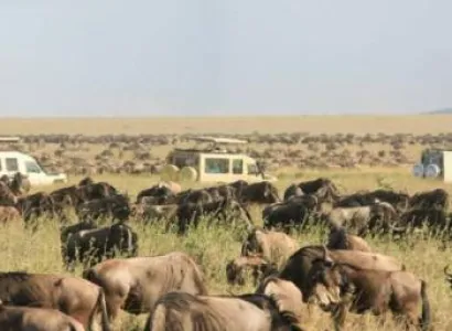 7-Day Kenya And Tanzania Safari Tour